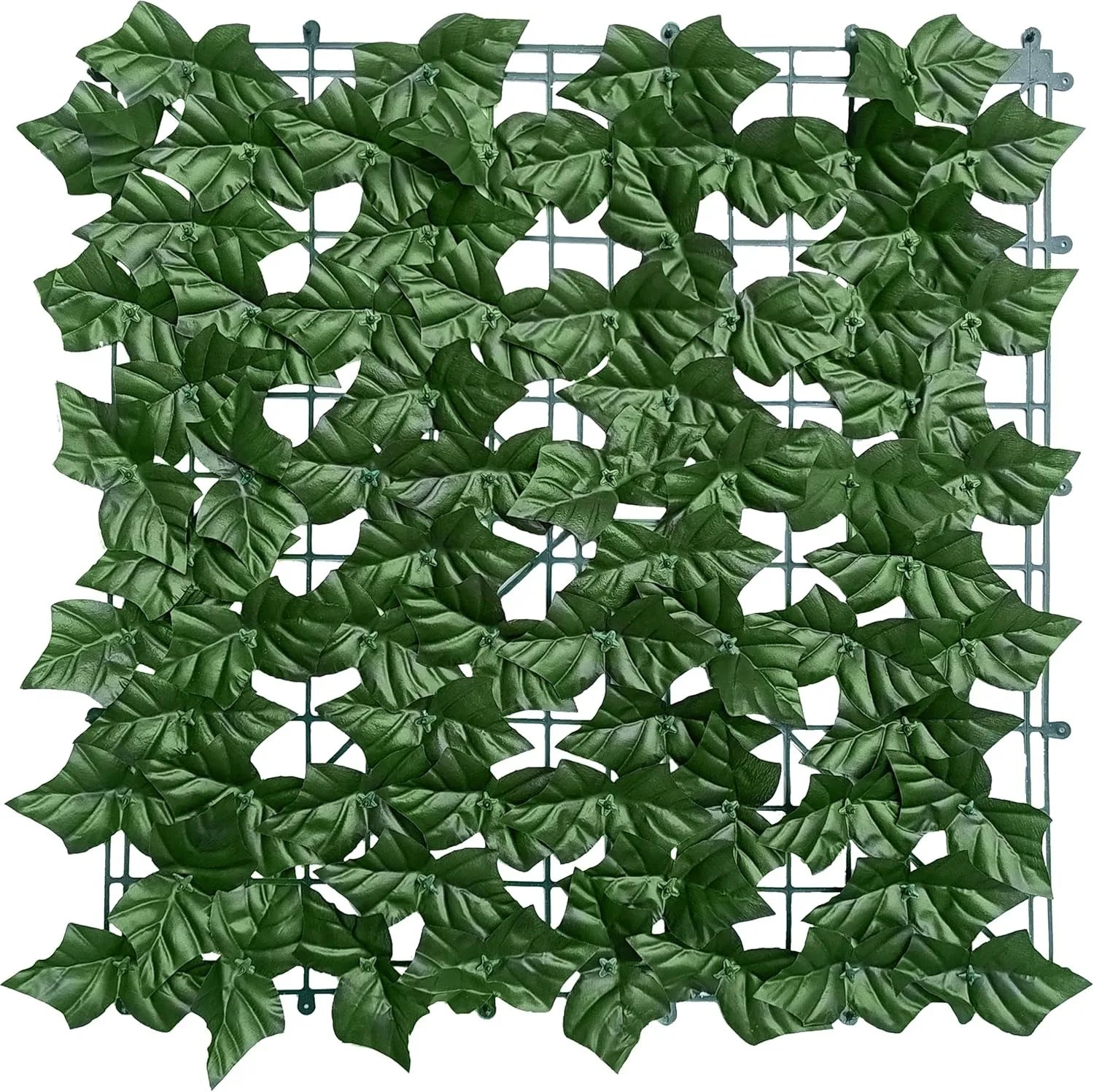 Green Leaf Fence