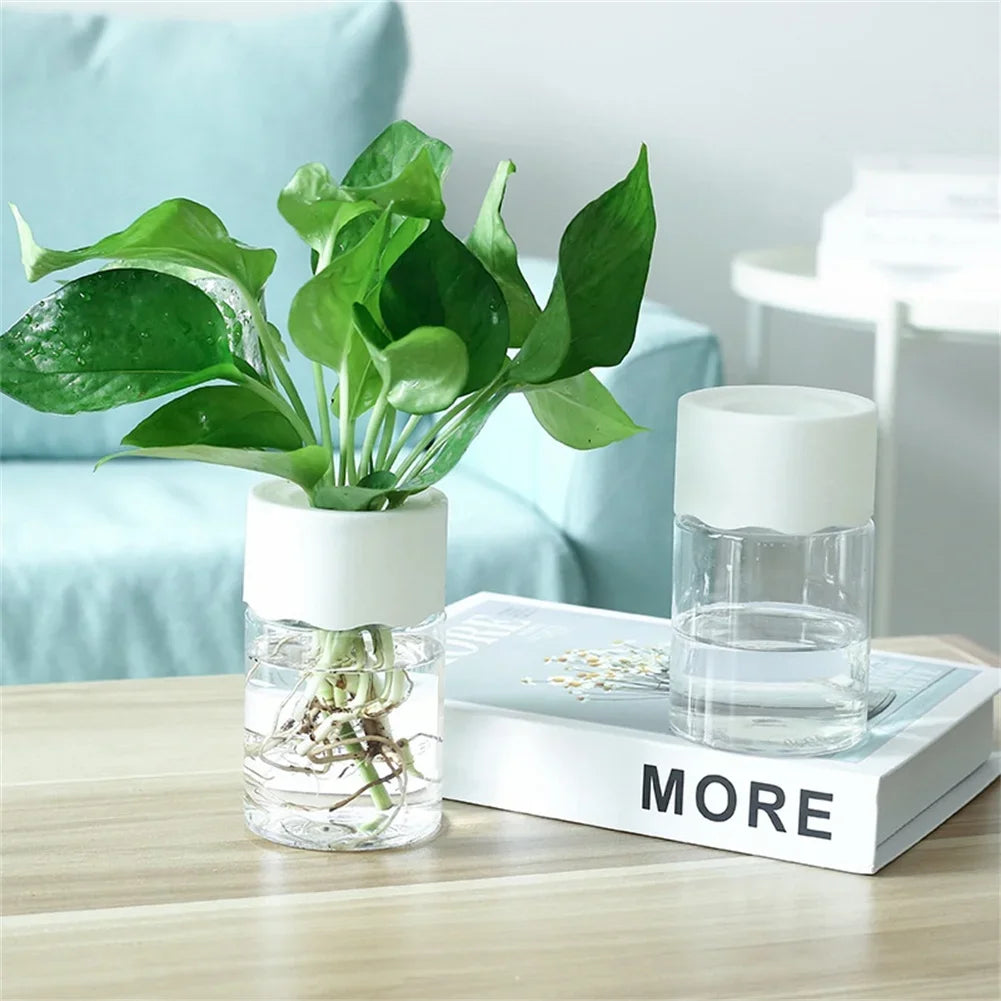 Mini Hydroponic Flower