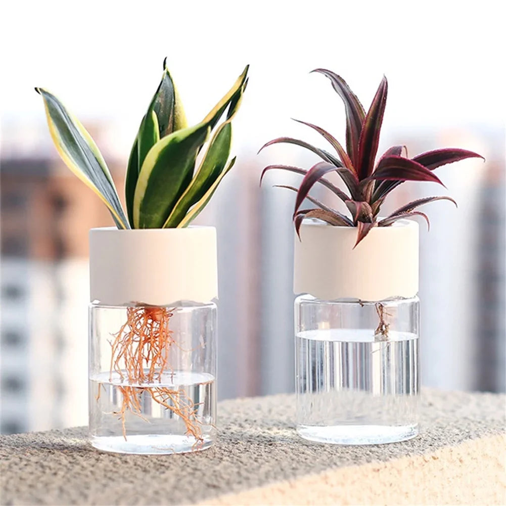 Mini Hydroponic Flower
