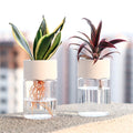 Mini Hydroponic Flower