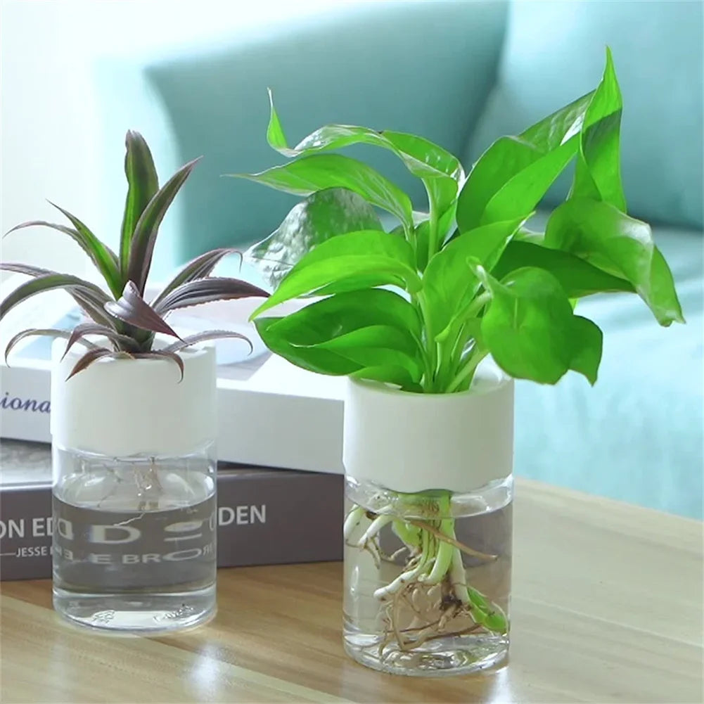 Mini Hydroponic Flower